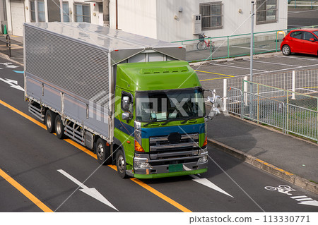 旅行在一條全國路的重型卡車 113330771