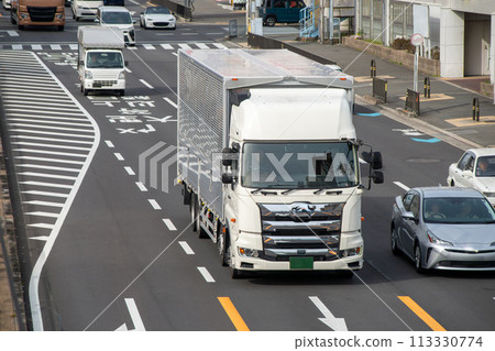 旅行在一條全國路的重型卡車 113330774