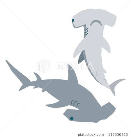 Cute hammerhead shark illustration Cute hammerhead shark illustration 113330823