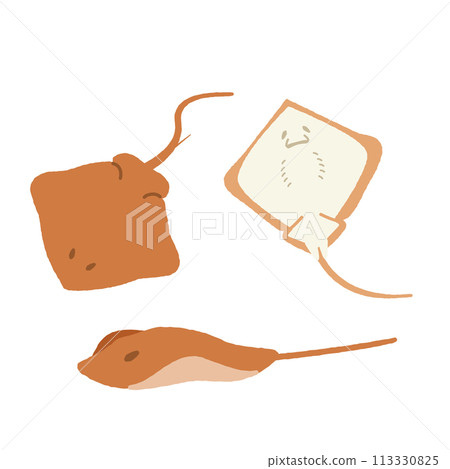 可愛的黃貂魚圖 113330825