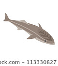 可愛的小鯊魚插畫 113330827