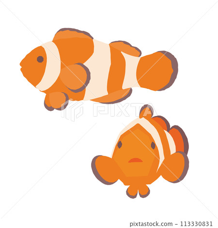 Cute clownfish illustration 113330831
