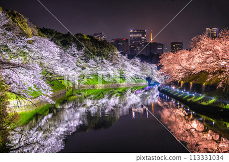 日本東京城市景觀,櫻花盛開。千鳥淵燈火通明。後方是東京鐵塔、虎之門Hills車站等=7天 日本東京城市景觀,櫻花盛開。千鳥淵燈火通明。後方是東京鐵塔、虎之門Hills車站等=7天 113331034