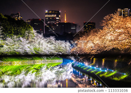 日本東京城市景觀,櫻花盛開。千鳥淵燈火通明。後方是東京鐵塔、虎之門Hills車站等=7天 日本東京城市景觀,櫻花盛開。千鳥淵燈火通明。後方是東京鐵塔、虎之門Hills車站等=7天 113331036