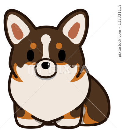 沒有尾巴坐著的柯基犬（三色） 113331115