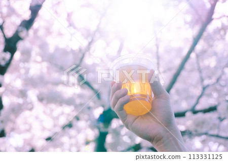 啤酒賞花 113331125
