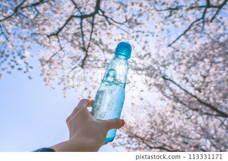 Ramune Cherry Blossom Viewing Ramune Cherry Blossom Viewing 113331171
