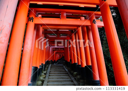 伏見稻荷神社Torii Torii 113331419