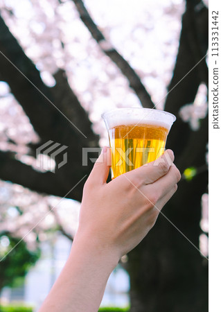 Beer Cherry Blossom Viewing 113331442