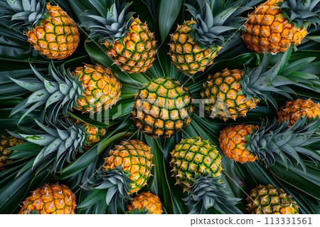 Pineapple fruit background. Top view of pineapple fruit background. 113331561