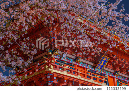 夜晚閃耀的櫻花與歷史悠久的神田神社形成美麗的和諧 113332399
