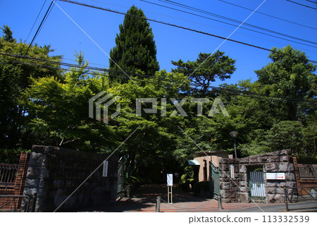 白百合女子大學正門 113332539