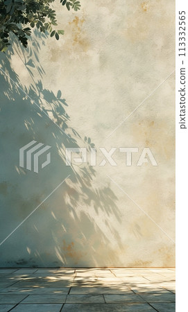 Shadow on the wall from a tropical plant, shadow from sunlight 113332565