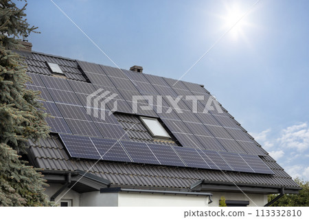 Solar Panels on Residential Roof Solar Panels on Residential Roof 113332810
