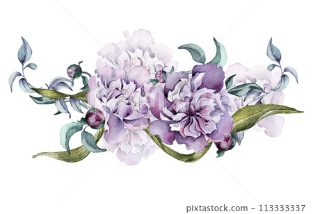 Watercolor pink flowers and foliage isolated on white. Gothic floral Illustration hand drawn. Botanical art with dark purple peony, leaves. wedding decoration, invitation, backdrop, card, printing 113333337