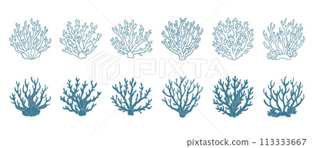 coral, sketch, vector 113333667