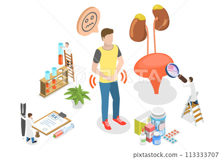 3D Isometric Flat  Conceptual Illustration of Urinary Tract Infection 113333707