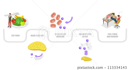 3D Isometric Flat  Conceptual Illustration of Insulin resistance 113334143