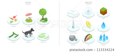 3D Isometric Flat  Conceptual Illustration of Biotic And Abiotic Factors 113334224