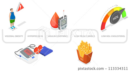 3D Isometric Flat  Conceptual Illustration of Metabolic Syndrome 113334311