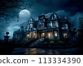 Creepy old mansion in the moonlight. 113334390