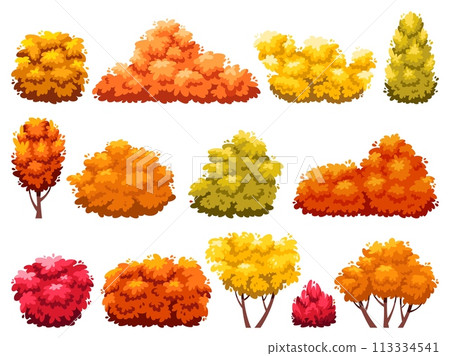 Cartoon autumn bushes. Garden yellow orange and red plants, fading hedge, change of season, deciduous garden trees, withered decorative shrub, park plants, landscape isolated vector set Cartoon autumn bushes. Garden yellow orange and red plants, fading hedge, change of season, deciduous garden trees, withered decorative shrub, park plants, landscape isolated vector set 113334541