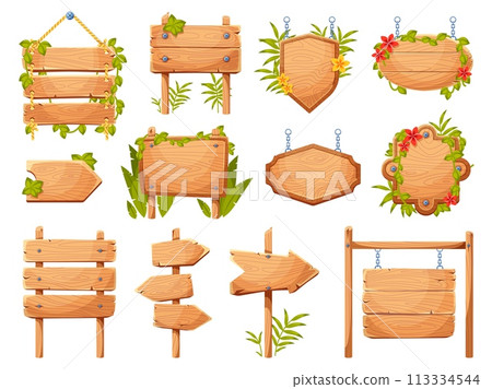 Cartoon tropical plants sign boards. Wooden empty banners, entwined with vines ui games elements, jungle flora frames and panels, hanging and standing blank signboards, vector isolated set 113334544