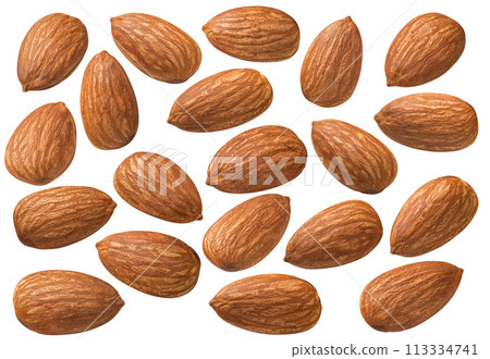 Almond  set isolated on white background. Single nuts, perfectly lit 113334741