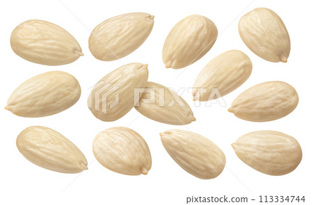 Blanched almond set isolated on white background. Package design elements Blanched almond set isolated on white background. Package design elements 113334744