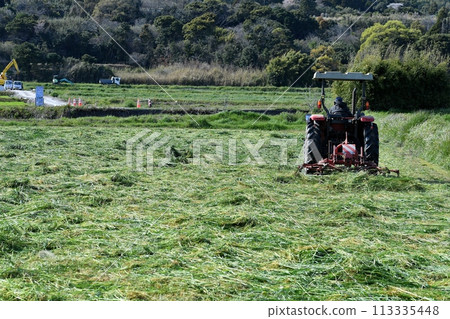 燕麥田烘乾工作 113335448