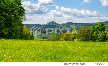 A grassy field with lush trees in the foreground, showcasing the majestic Lusatian mountains in the distance under a cloudy summer sky. Czechia A grassy field with lush trees in the foreground, showcasing the majestic Lusatian mountains in the distance under a cloudy summer sky. Czechia 113335563