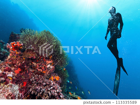Silhouette of free diver exploring coral reef. 113335589