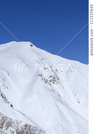 A spectacular view of Mt. Tanigawa from Tenjin Ridge in winter 113335649