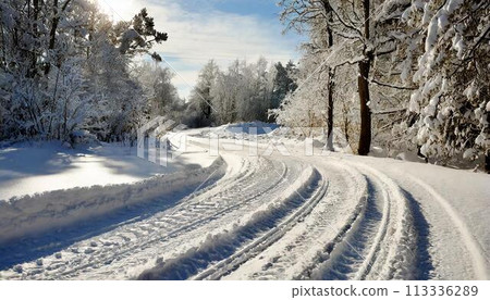 Tire tracks in a snowy forest 113336289