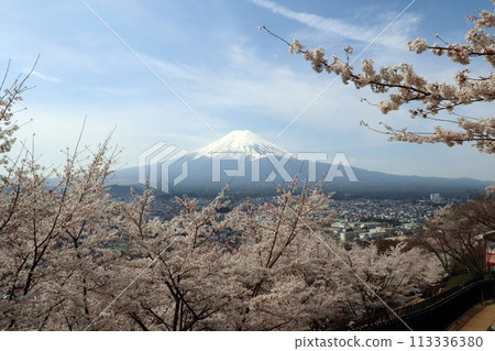 View of Mt. Fuji from a cherry blossom-lined promenade 113336380