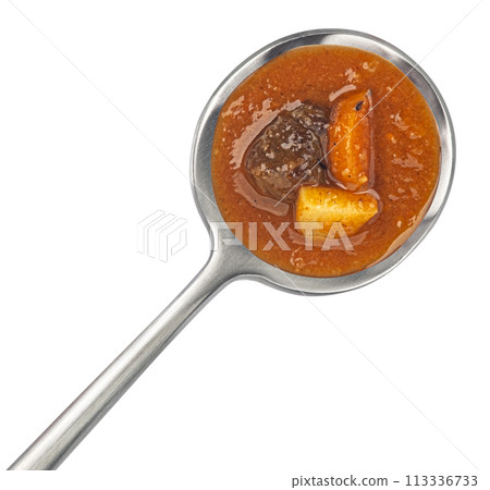 Beef stew with carrot and potato in spoon isolated on white background, top view Beef stew with carrot and potato in spoon isolated on white background, top view 113336733
