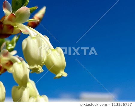 Doudonzi and blue sky Doudonzi and blue sky 113336737