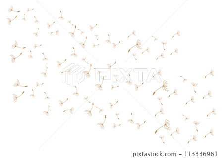 Dandelion Logo, Vector Plant Dandelion flower, Design Icon Template 113336961