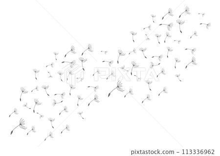 Dandelion Logo, Vector Plant Dandelion flower, Design Icon Template Dandelion Logo, Vector Plant Dandelion flower, Design Icon Template 113336962