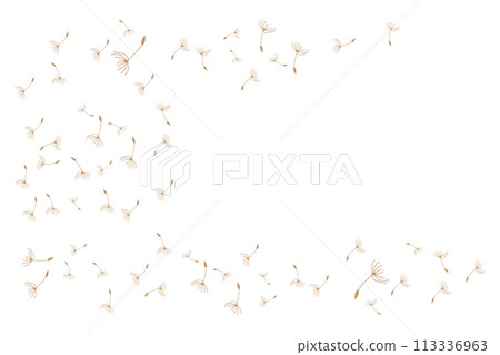 Dandelion Logo, Vector Plant Dandelion flower, Design Icon Template Dandelion Logo, Vector Plant Dandelion flower, Design Icon Template 113336963