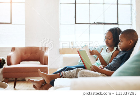 We love the adventures reading takes us on. a little brother and sister reading a book indoors. 113337283