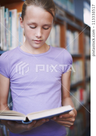 Caught up in a grand story. A young girl engrossed by a good novel while at the library. Caught up in a grand story. A young girl engrossed by a good novel while at the library. 113338517
