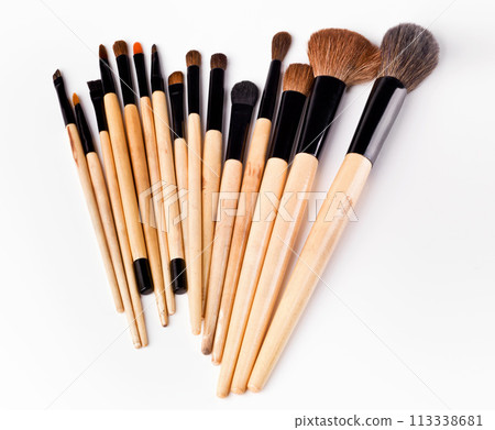 Brush, group and tools for makeup, beauty and cosmetics isolated on white background for creative career. Abstract, product and set of accessories for art, powder and skin care in studio 113338681