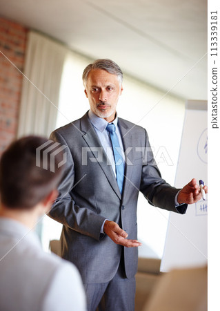 Business, presentation and mature man in office with whiteboard for financial training, faq or teaching. Meeting, review and male corporate coach with mind map for team motivation, objectives or goal Business, presentation and mature man in office with whiteboard for financial training, faq or teaching. Meeting, review and male corporate coach with mind map for team motivation, objectives or goal 113339181