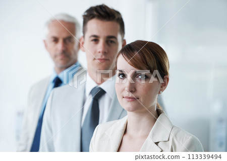 Portrait of three corporate business people , standing in a row and in broad room. Smiling friendly group of three business partners of different age private company staff posing for office 113339494
