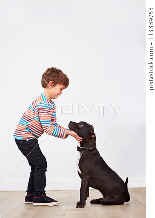 Happy child, dog and kid playing with pet, having fun and bonding together for connection at home by a wall on mockup space. Young boy, canine and touch animal with care, love and friendship of owner 113339753