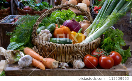 Freshly picked vegetable ingredients, fresh vegetable images 113339963