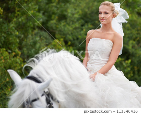 Bride, woman and riding with horse outdoor or happiness for celebration, marriage and confidence in countryside. Wedding, person and stallion on lawn in field with smile, dress and animal at ceremony 113340416