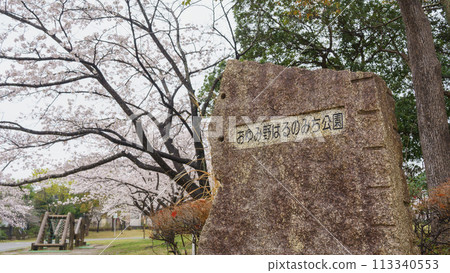 [千葉縣千葉市]大湯野晴道公園和櫻花 113340553