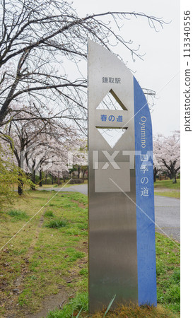 [Chiba City, Chiba Prefecture] Oyumino Harumichi Park and cherry blossoms 113340556